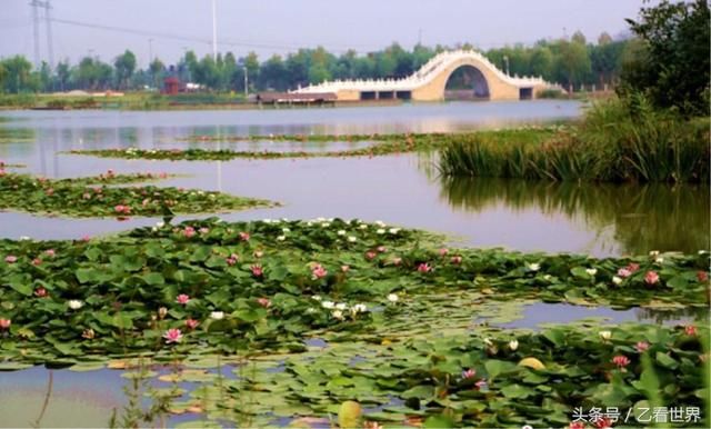 山东淄博桓台县三个值得一去的旅游景点,看看