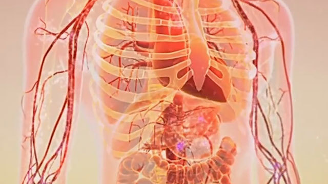 《养生堂》20180720被吃掉的器官——谁动了我的肝脏 《养生堂》20180720被吃掉的器官——谁动了我的肝脏