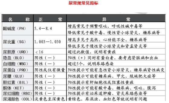 体检报告里的尿常规,如何看懂?