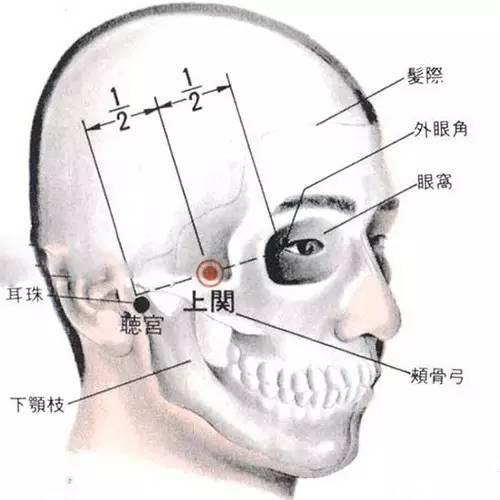 圖解上關穴位置