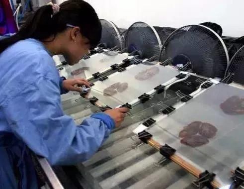 大连尸体加工厂!一位失踪女主播或被制成标本