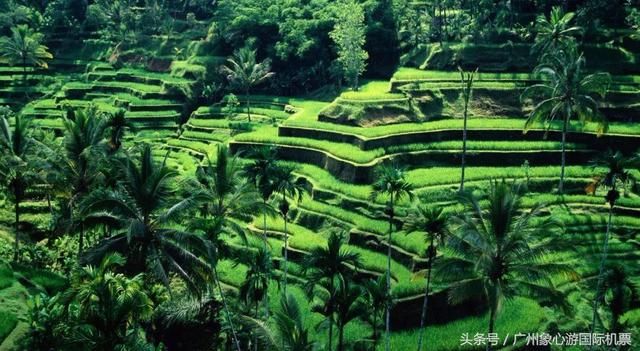 最新!2018免签国家名单,看看有没有你想去的国家