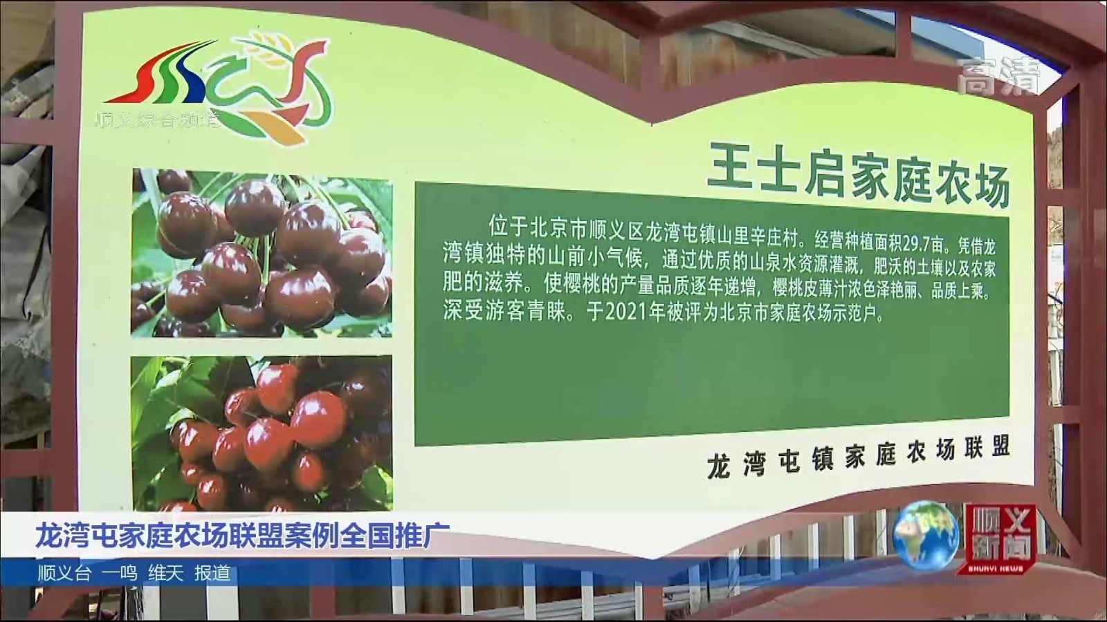 龙湾屯家庭农场联盟案例全国推广