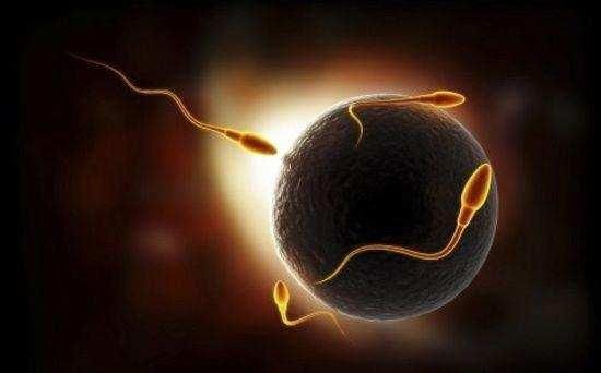 科学家预测400万年内,男性染色体将逐渐消失,