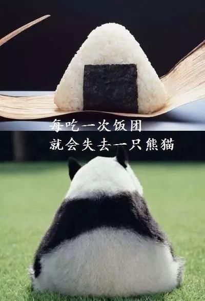 每生产一支口红,就有一只狗失去小丁丁,没有买