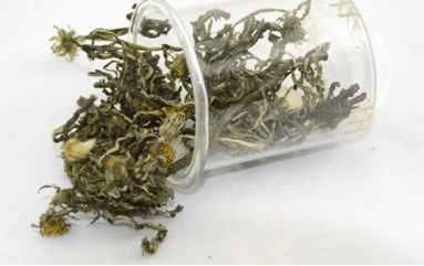 蒲公英根茶的副作用是什么, 蒲公英根泡水喝的