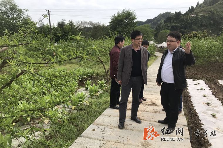 高杨沣)4月11日,湖南省吉首市委常委,纪委书记刘鸿宾来到河溪镇调研村
