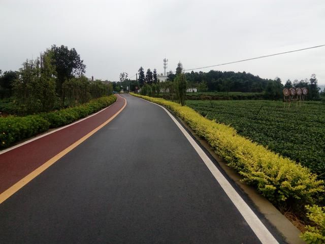 茶园绿道