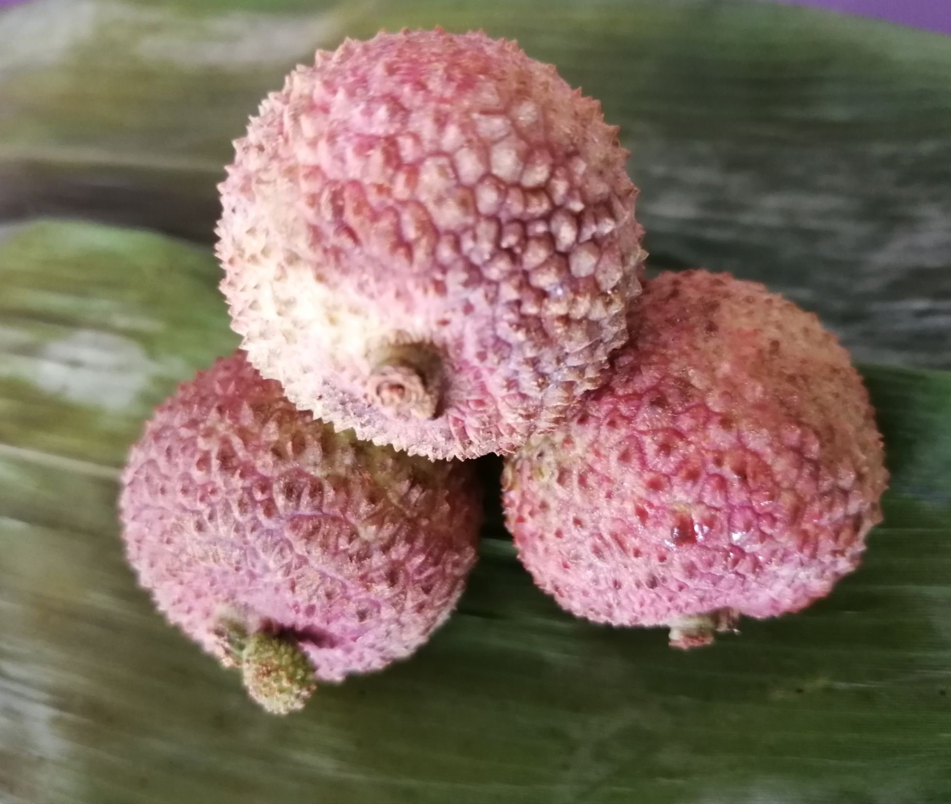 一骑红尘妃子笑 拥有航空公司多么好--药师说中