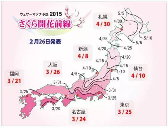在春天的日本，真正的少女都是这样赏樱花的