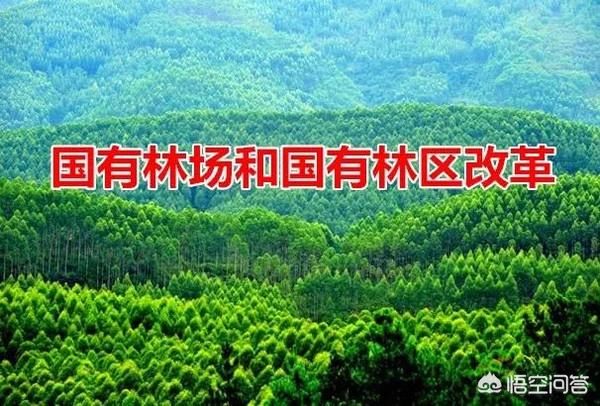 国有林场改革为公益一类和生产经营类事业单位
