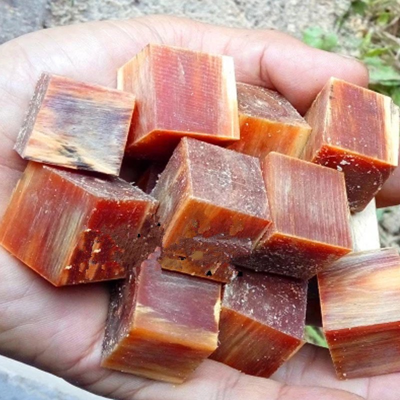 可遇不可求"血龙木珠",被誉树木之王,文玩大师见夸:着实罕见