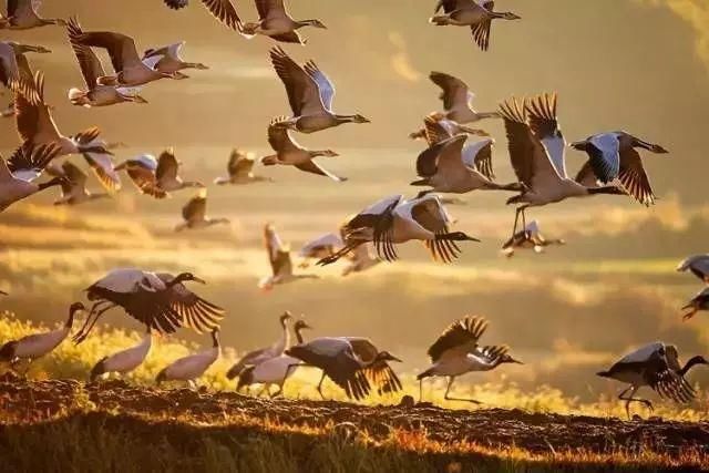 市长与曲靖一起刷爆朋友圈!流利英文对答记者