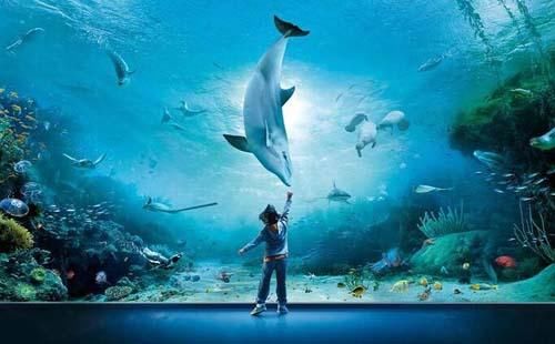 去澳大利亚玩什么?悉尼篇