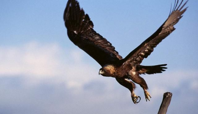 2018年央企重组第一单落锤,孙公司能靠拼爷