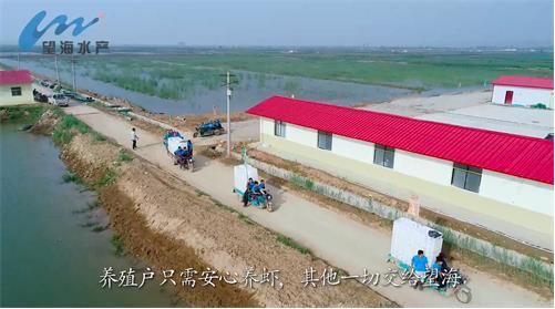 小龙虾养殖有风险,不是想养就能养