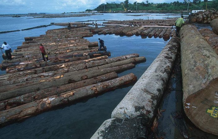 这是非洲最富裕的国家 有位华人在这里很有名