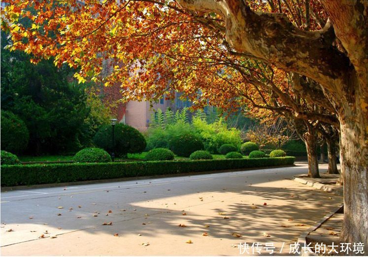 分数超过二本线几分,这几所大学真的可以捡漏