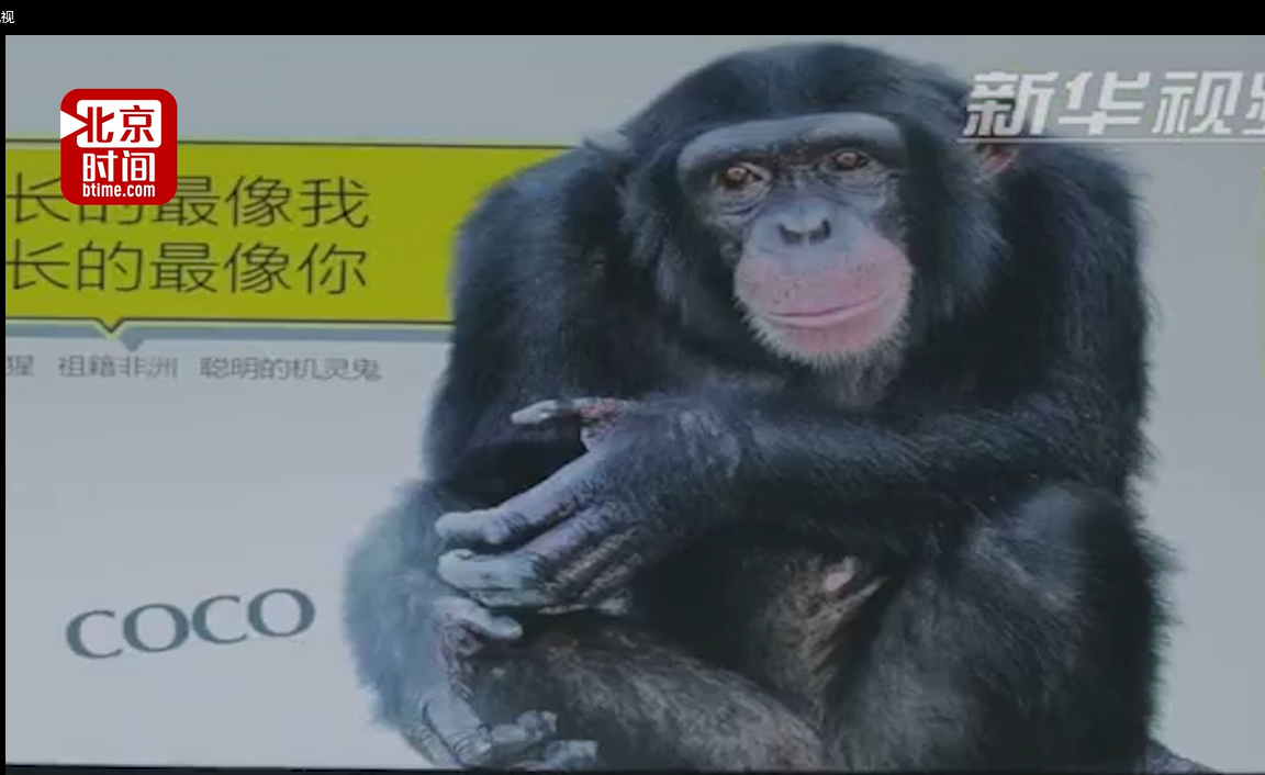 创意十足！动物明星海报让广州地铁站“动”起来
