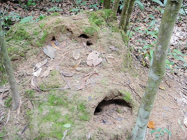 世界上最奇特的隧道:处处陷阱,上千人在地下10米处一待就是数年