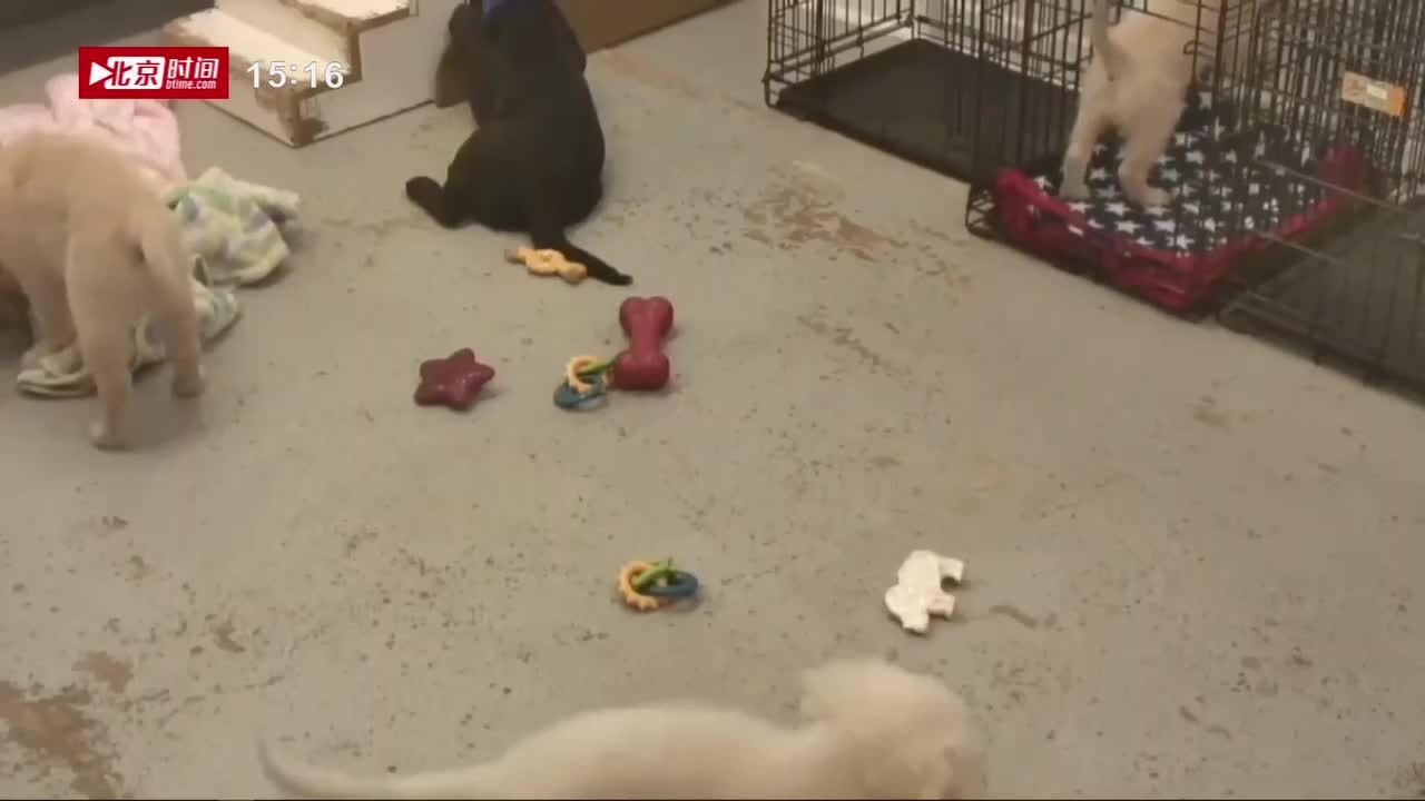 《时间新闻室》关注今日看点 《时间新闻室》关注今日看点