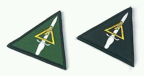 三角洲特种部队队标图片