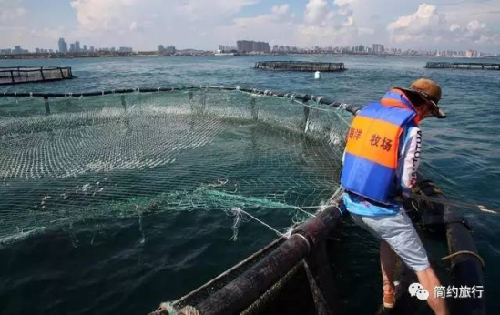 海鲜养殖技术 海鲜养殖技术指导