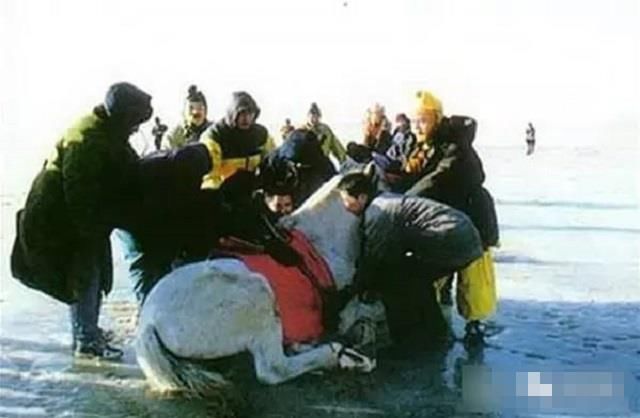 西游记珍贵剧照:唐僧骑的白马实际上是黑马,孙