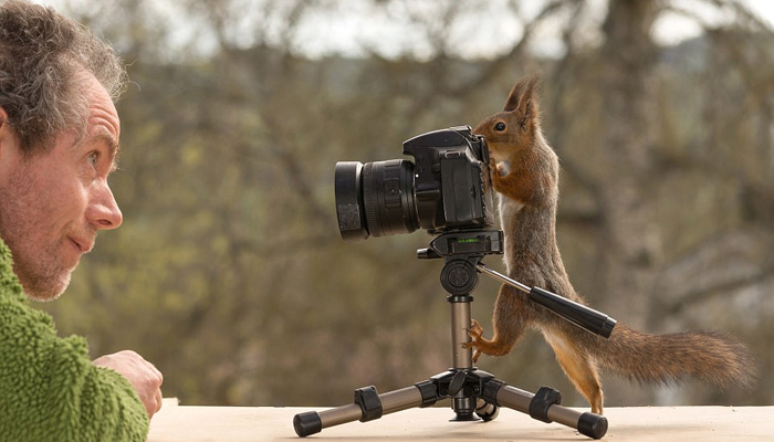 松鼠摄影师图片
