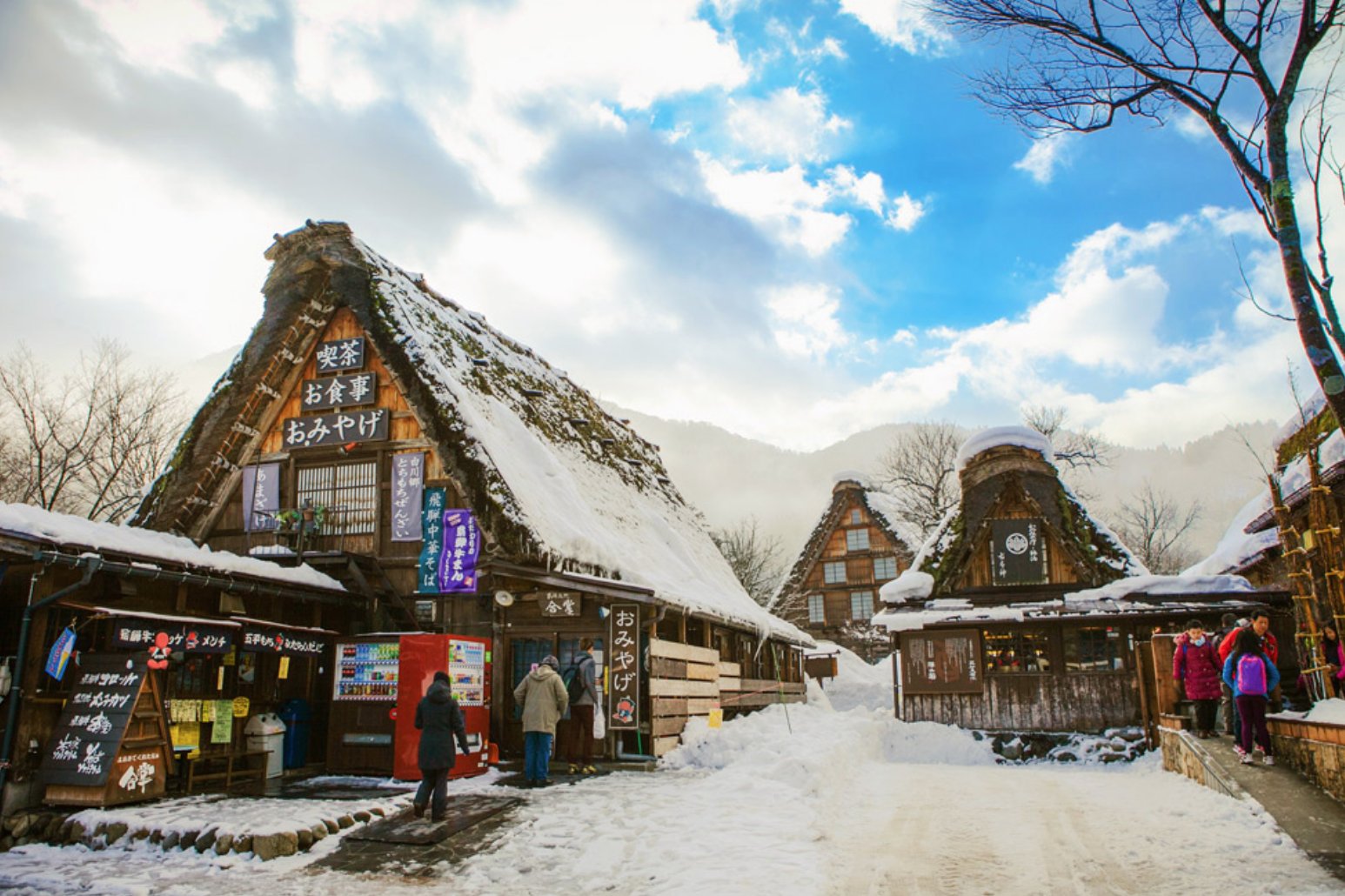 今日網友拿中國雪鄉和日本雪鄉做比較,結果全方位不如人家雪鄉