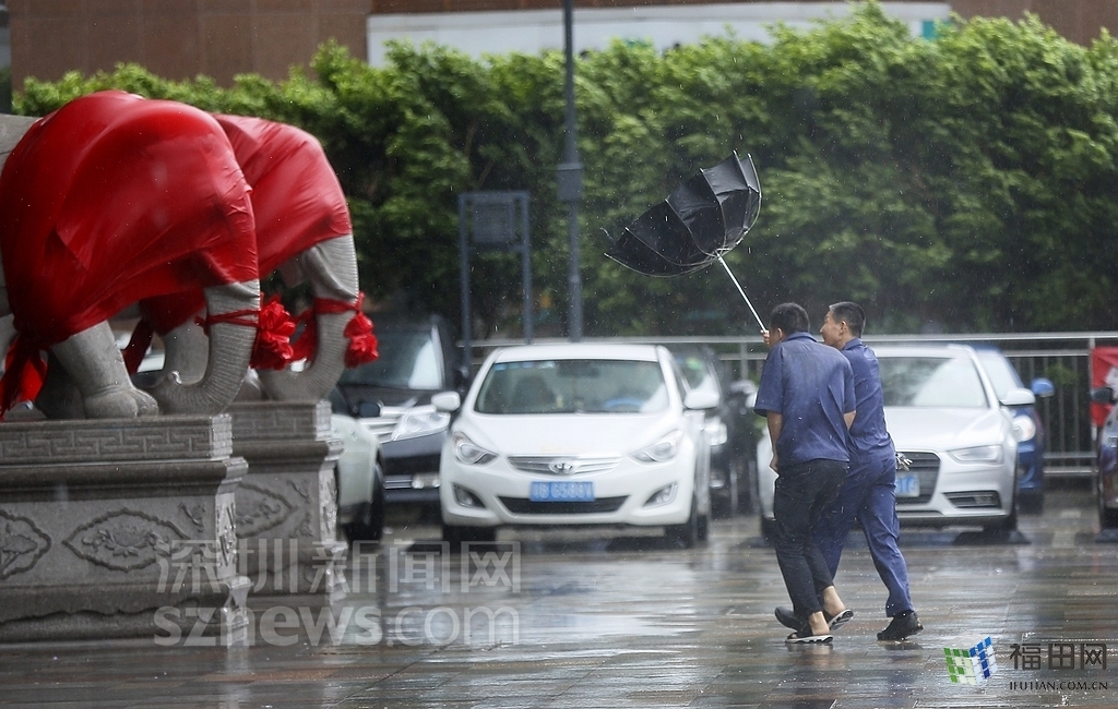 台风将两位市民的伞吹翻,身上已完全湿透.