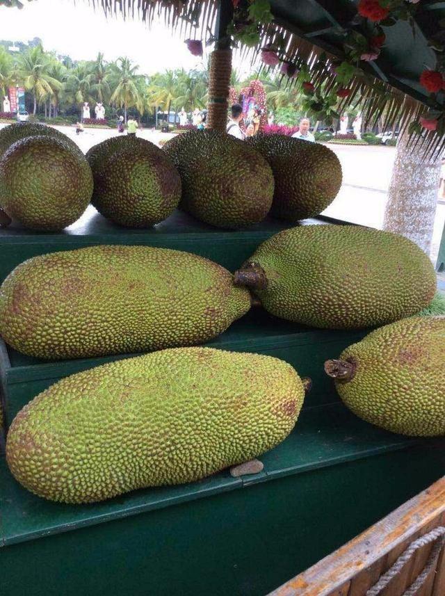 呀诺达森林公园一日游,呼吸三亚天然氧吧