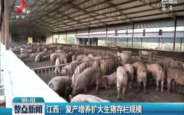 江西：复产增养扩大生猪存栏规模