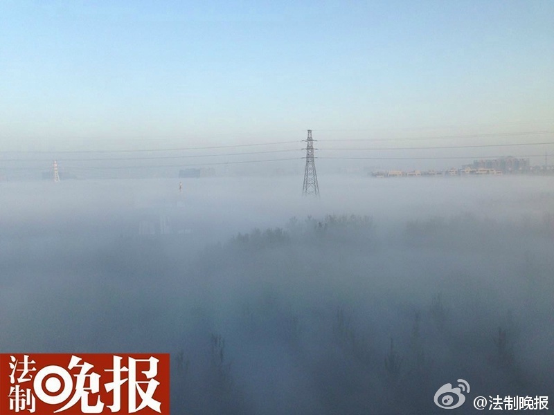 图为网友分享浓雾照片。