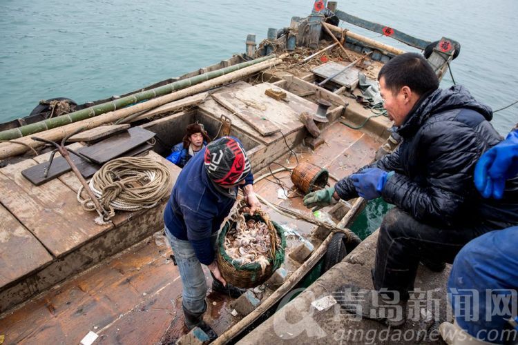 高清:出海啦!开捕啦!沙子口渔民开始年后作业