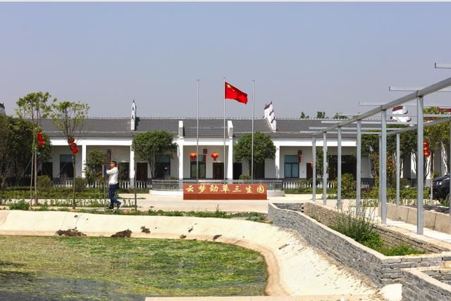 图:云梦县伍洛镇蔬菜种植基地里种植着绿色无公害蔬菜(张轶) 据统计