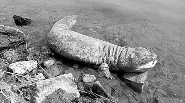 男子走夜路听见婴儿哭声,环顾四周却空无一人