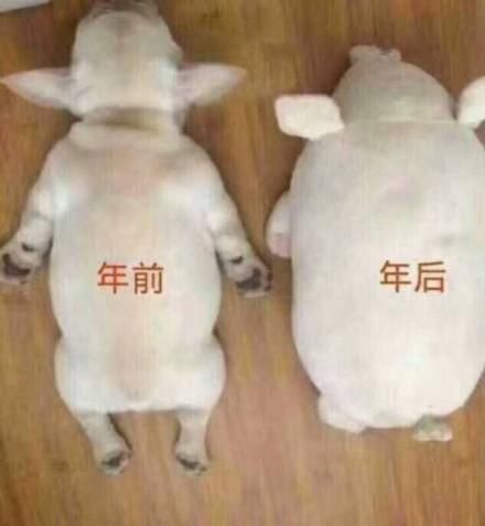 年后袁姗姗胖了6斤,谢娜坐月子张杰开工在即忙