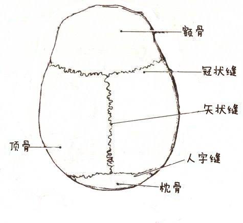 寶寶的這個部位千萬不能使勁摸