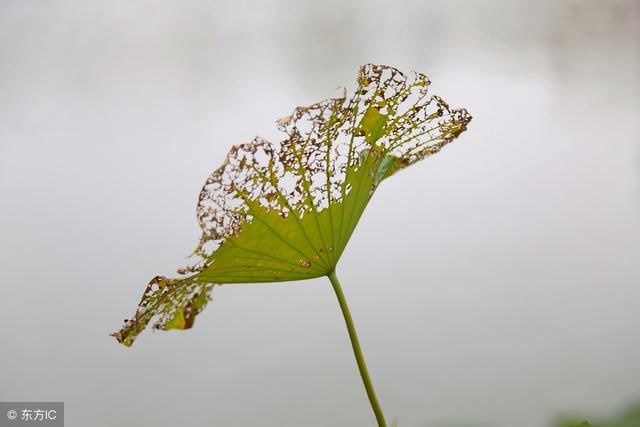 八字命理如何看前世今生