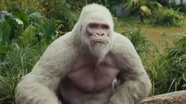 巨石强森联手巨无霸猩猩,怪兽大片《狂暴:世纪