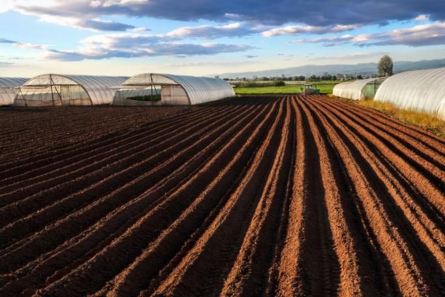 目前农村土地确权的土地使用的期限是多少?