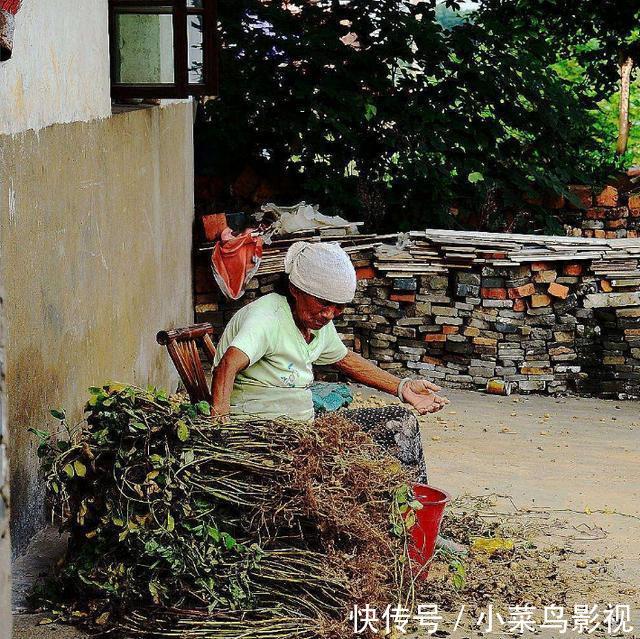 母亲去世留下20万存单,夫妻一年都没找到,孙女