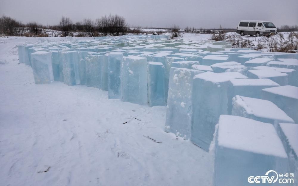 2019年12月1日，黑龙江省漠河市，冰雕建设用冰，码放在大林河边，不同于松花江江冰，这里的冰呈现明显的蓝色，蓝如海冰。