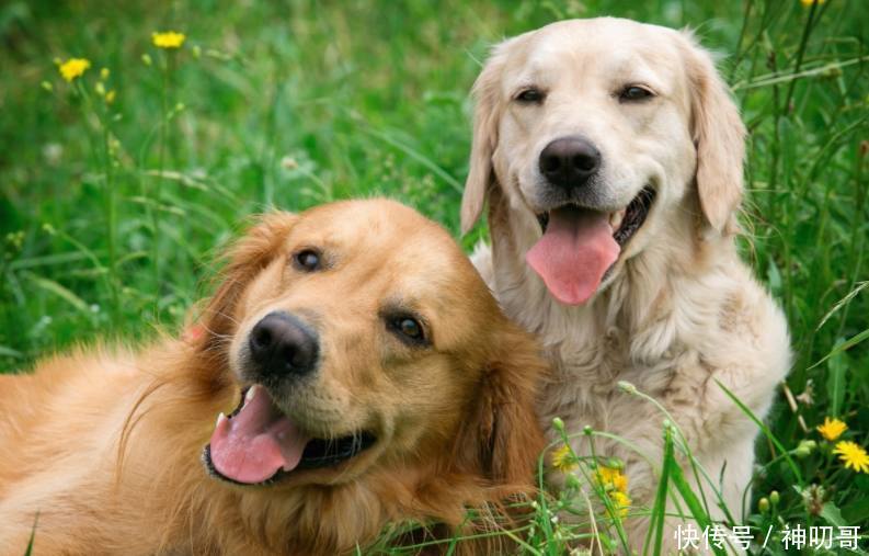 农村老人常说的这四句谚语到底是啥意思?你觉