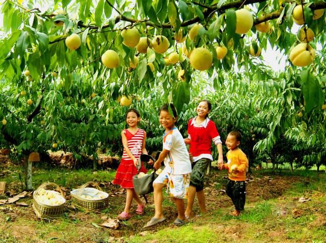 云南人,有钱,就是这么任性!