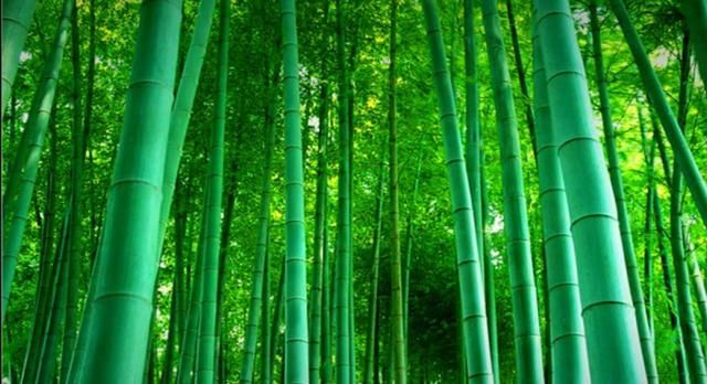 趣谈王阳明01:我是如何拥有开挂人生的?!