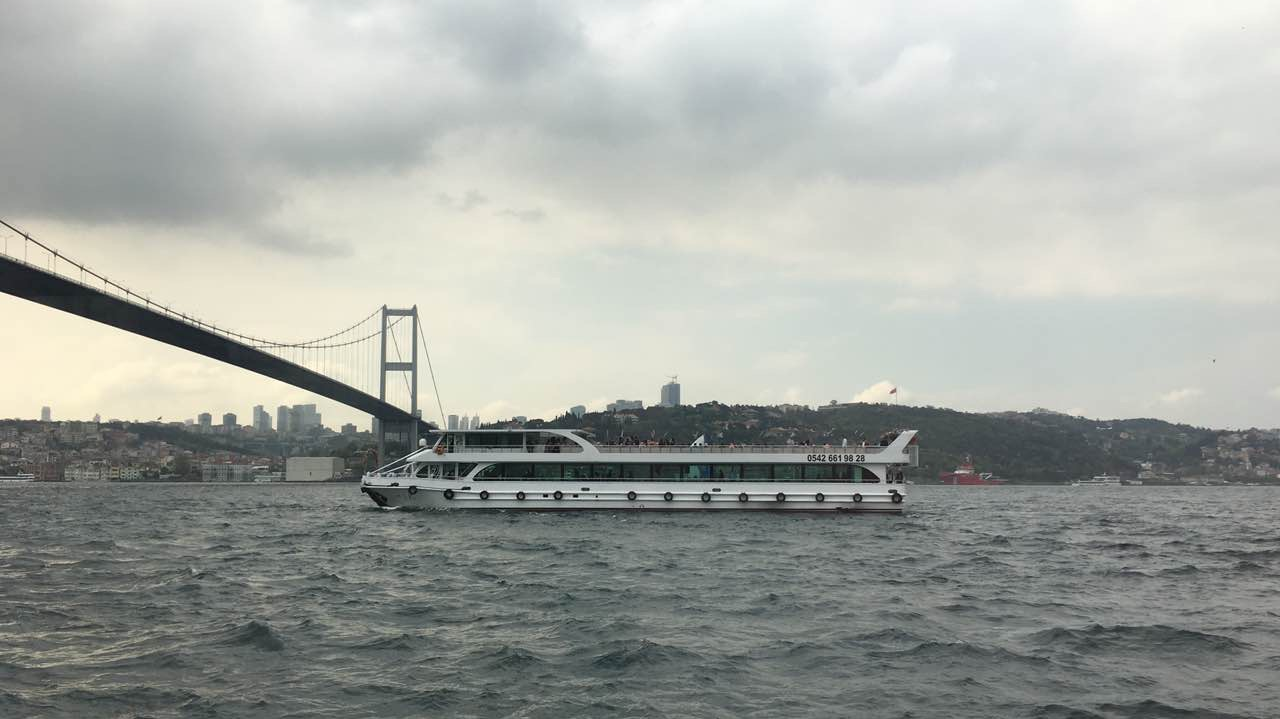 同时看到海豚和水母:土耳其亚欧分界海峡厉害了 同时看到海豚和水母:土耳其亚欧分界海峡厉害了