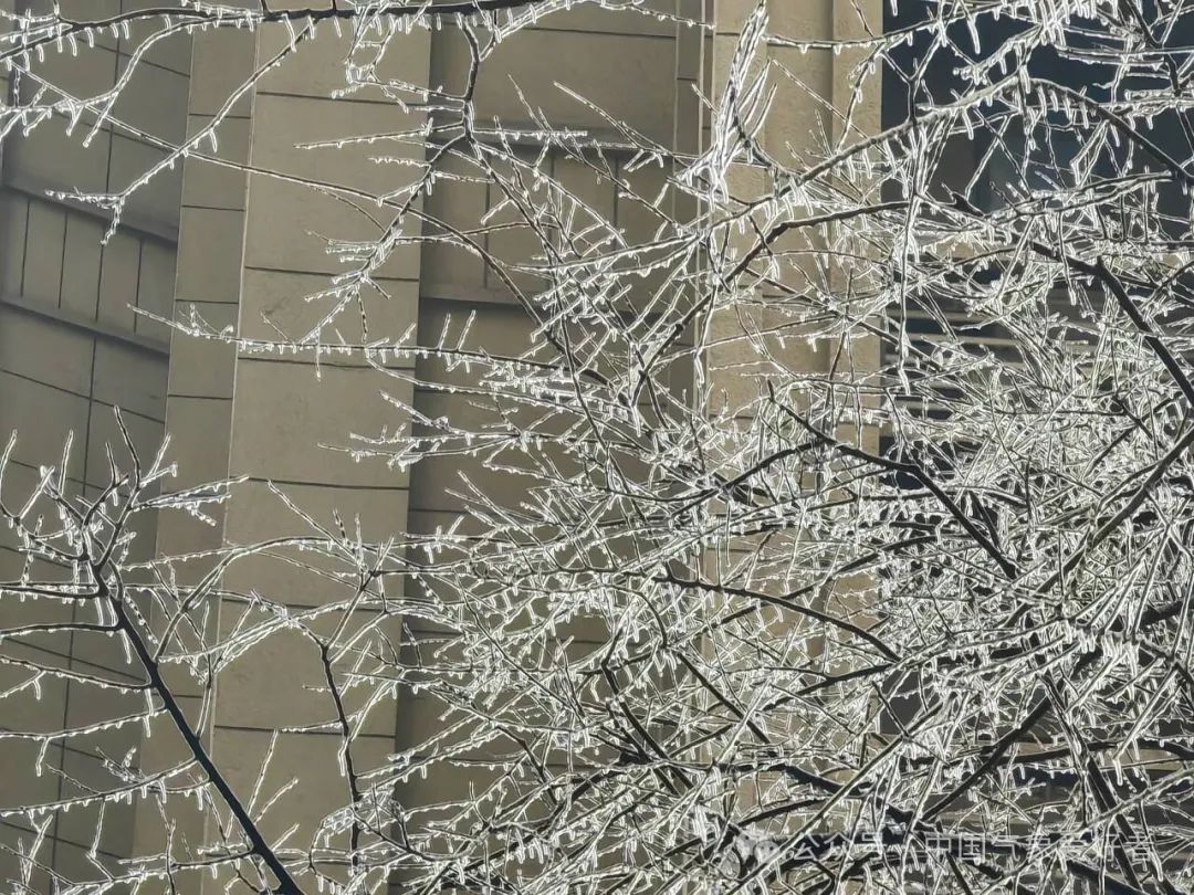 大暴雪来了!暴雪冻雨将全面加强南压,华南回南天有望提前结束_北京时间