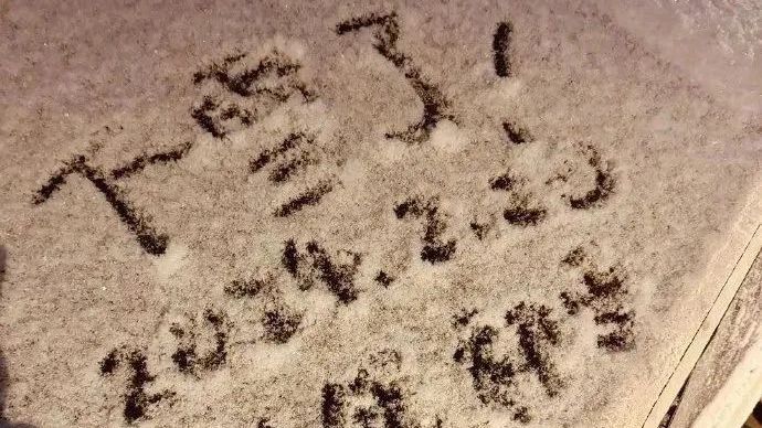 北京龙年首场降雪来了！本市发布道路结冰黄色预警信号